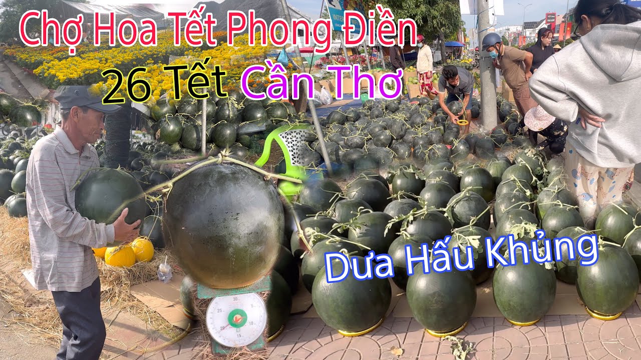 Chợ Hoa Tết Phong Điền Cần Thơ Xuất Hiện Dưa Hấu Khủng 1 cặp Gần Cả Triệu Ngày 26 Tết 