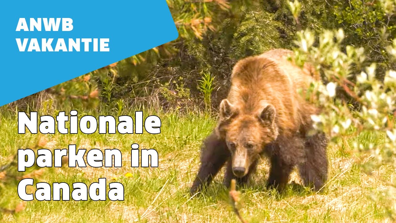 Rondreis door Canada: Nationale parken, Niagara Falls, Vancouver en Quebec | ANWB Vakantie