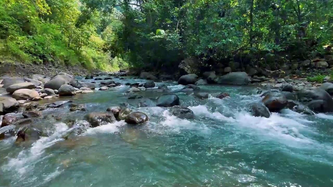 Relaxing River Sounds for Focus, Studying & A Peaceful Home 🌿 Relaxing Sleep Calming Anxiety