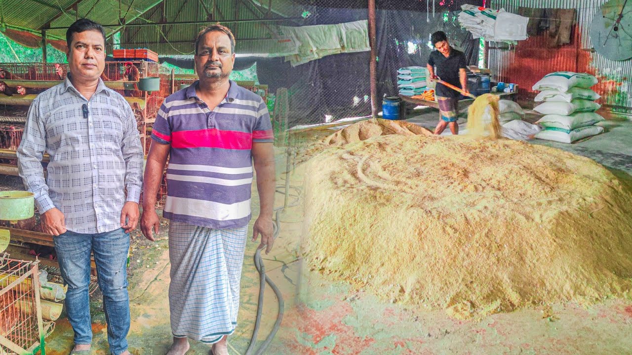 লুস ফিড তৈরি করে মাসে ৬০ হাজার টাকা সাশ্রয় করেন পলাশ ভাই | Jamal Hossain Vlogs