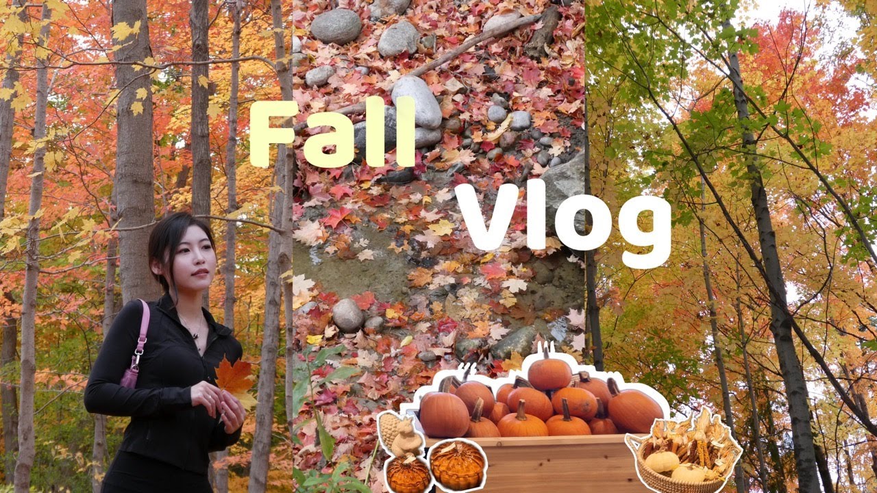 在枫叶国过秋天🍁｜极光小镇Aurora｜打卡秋日农场Carma Farm🐑【多伦多日常Toronto Vlog】