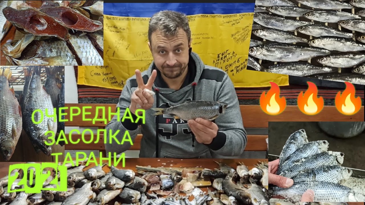 засолка вкуснейшей тарани сухим посолом продолжается !!!😋😋😋 ТАРАНИ много не бывает )))🤘🤘🤘