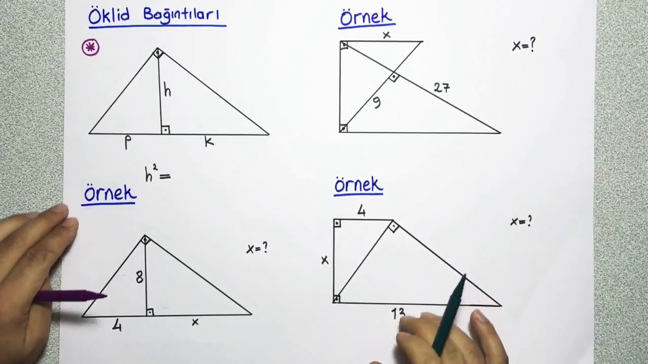 || ÖKLİD BAĞINTILARI ||