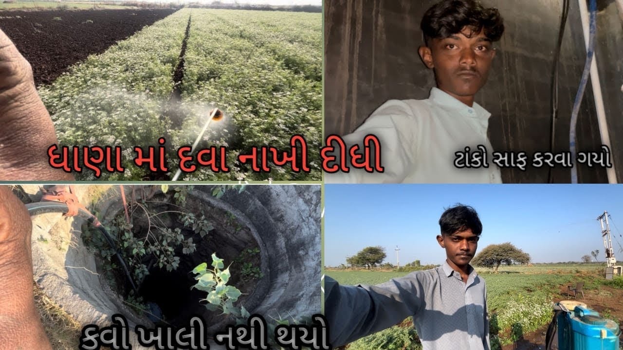 આજે  ધાણામા દવા સાટી દીધી અને ટાકો સાફ કરવા ગયો 