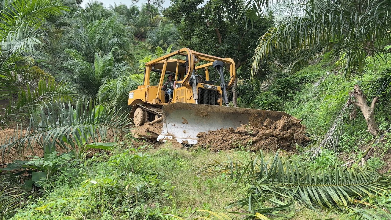 Repairing Damaged Roads in Oil Palm Plantations with a D6R XL Bulldozer