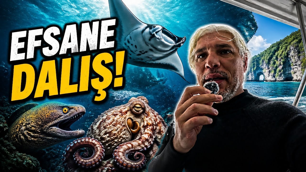Nusa Penida Dalışı: Manta Ray, Müren ve Ahtapotlarla Buluşma!