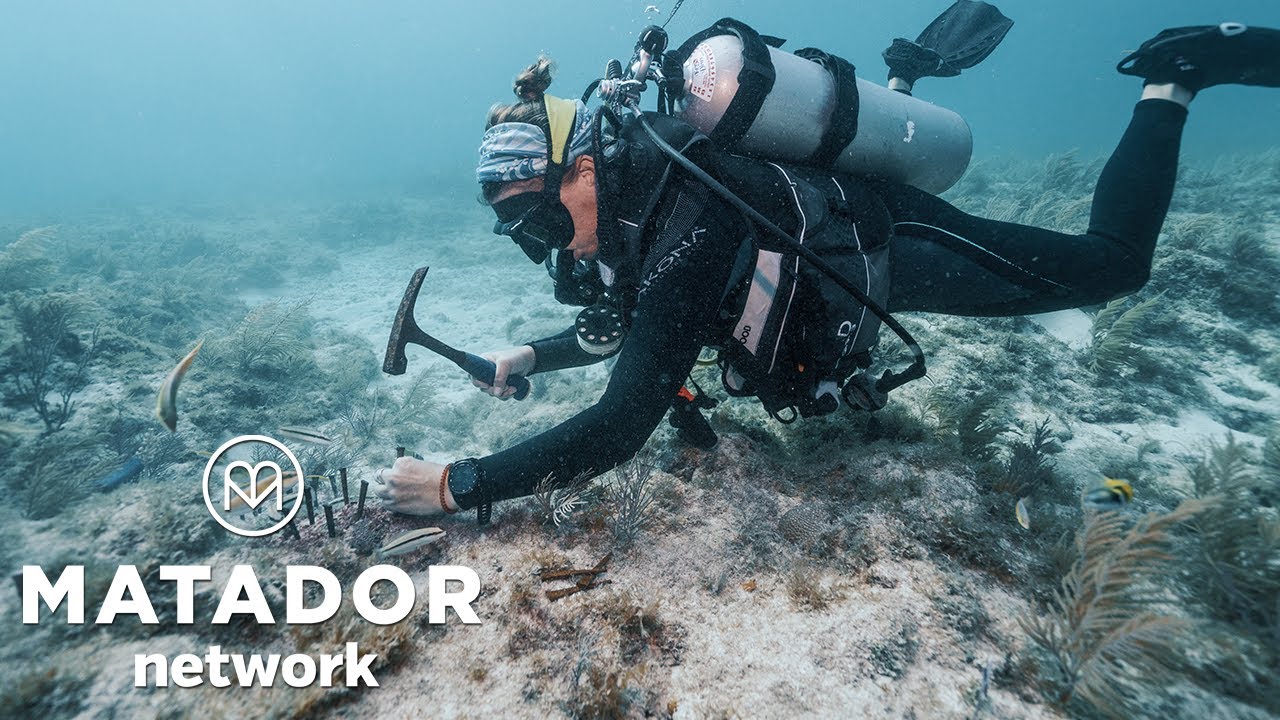 Living the Conch Life: Conservation Adventures in the Florida Keys and Key West