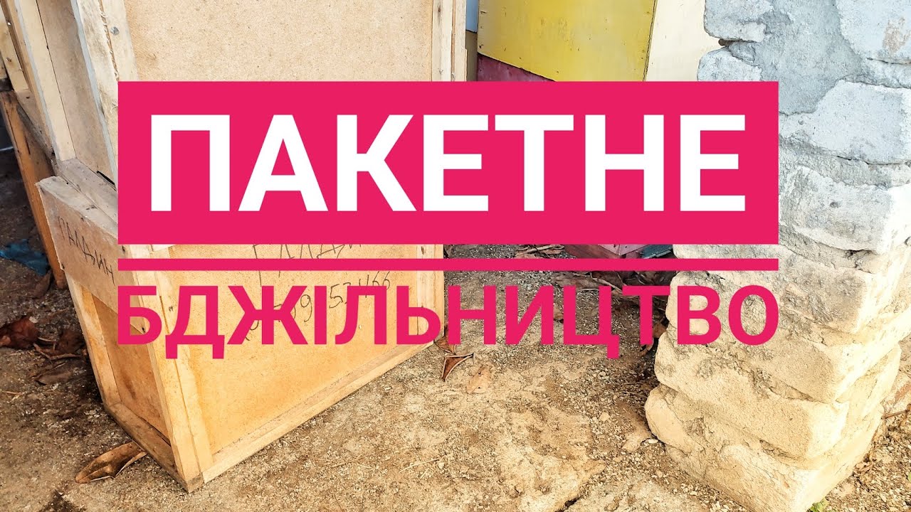 ✅Пакетне бджільництво: мій досвід, думки та враження