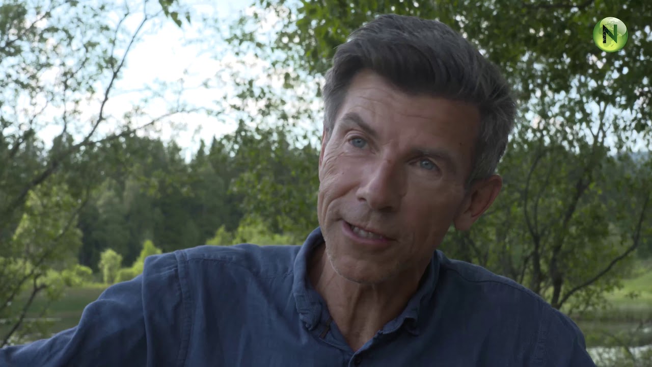 Møller og Avmakt: NATURRANET