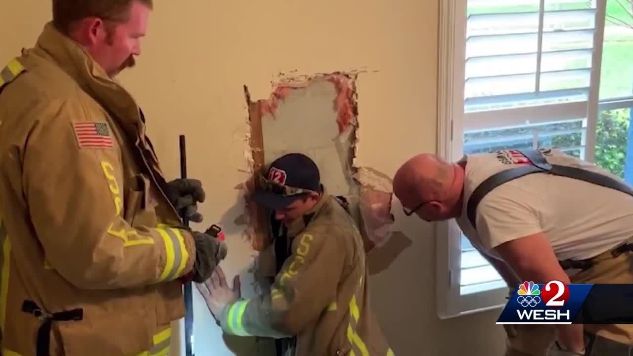 Seminole County firefighters rescue kittens stuck in wall