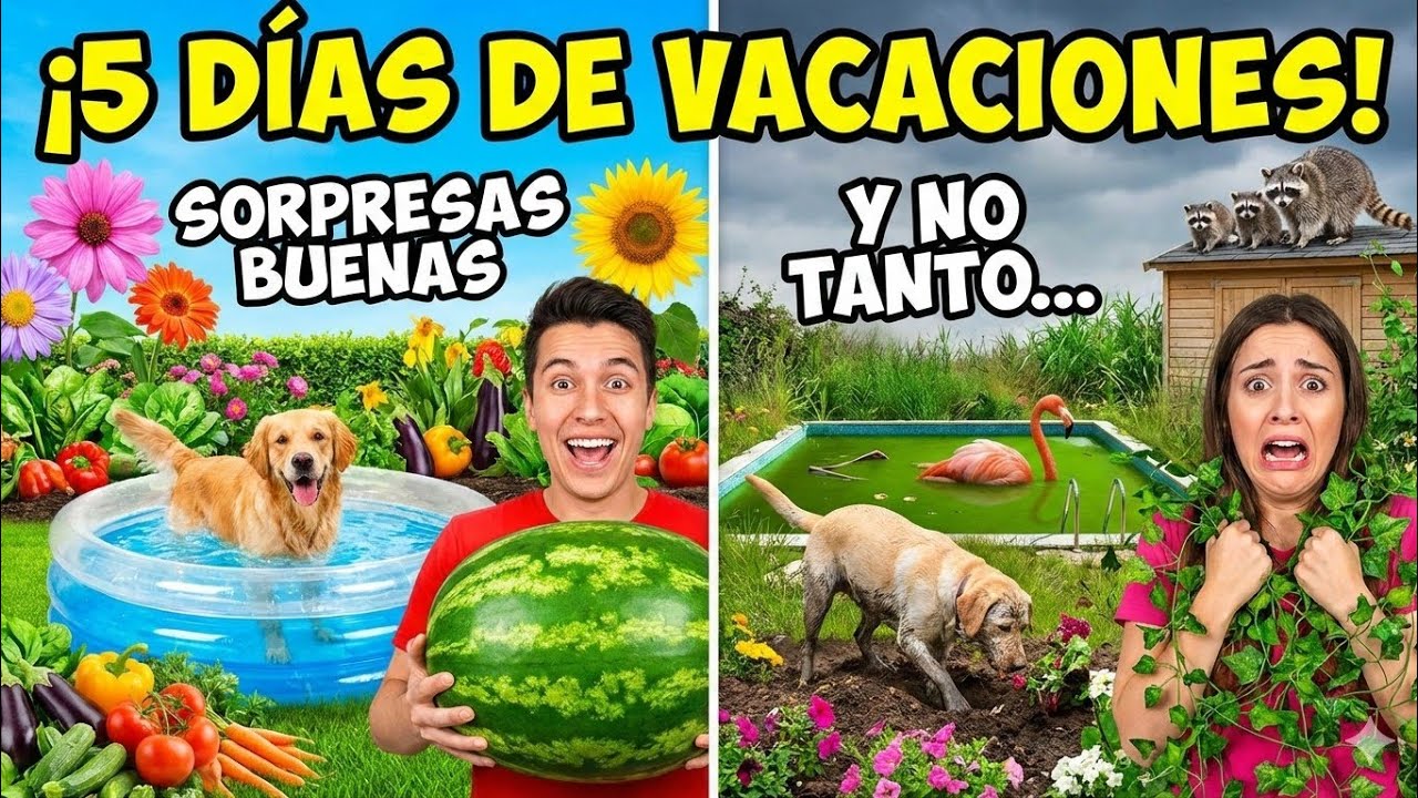 MI JARDÍN 🏡🔍SORPRESAS.. 👣🌱Bs As 40 grados🌡️👀