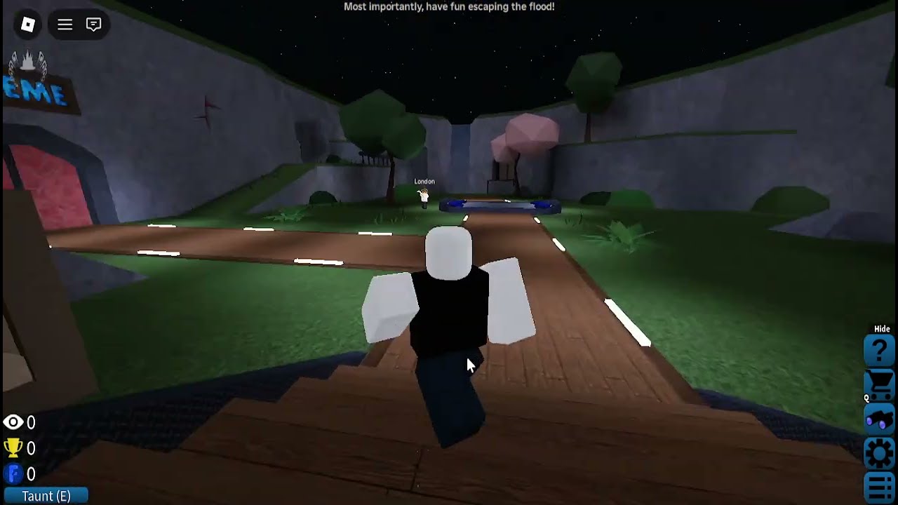 Playing Flood Escape!