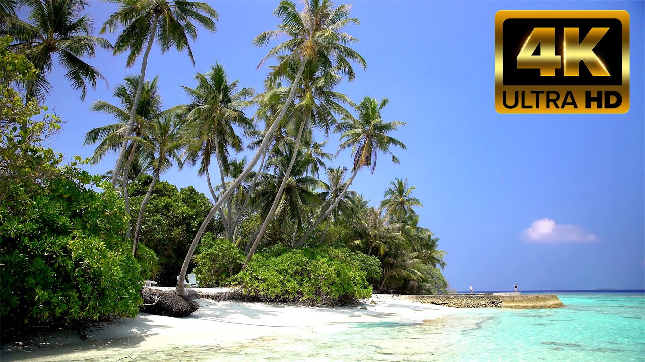 🌴 Tropical Beach Paradise - Turquoise Waters with Calm Waves - 8 Hrs - 4K UHD- Perfect for relaxing