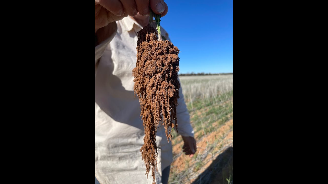 5) Increase Nutrient Cycles - Principles in Context - Multi Species Farming Revolution in Australia