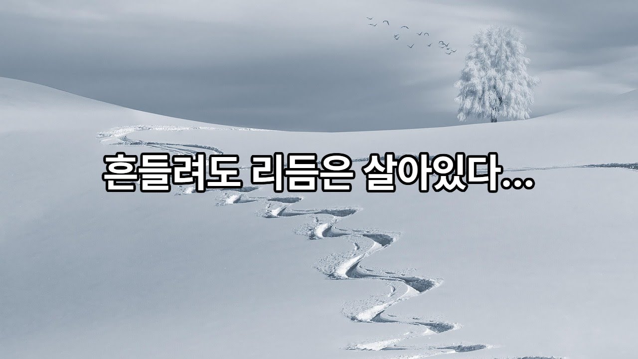 확인할수록 굳어지는 것이 마음이다...음악1곡