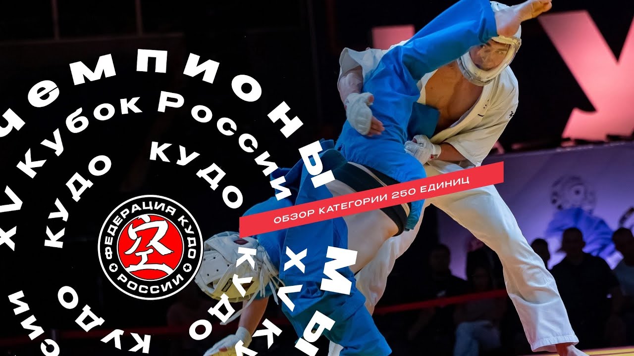Обзор категории 250 ед XV Кубка России по КУДО
