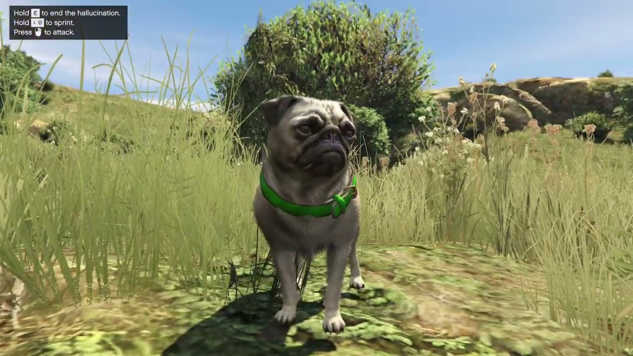 PUG Transformation | Animal Transformation | Peyote Plants Location | GTA V