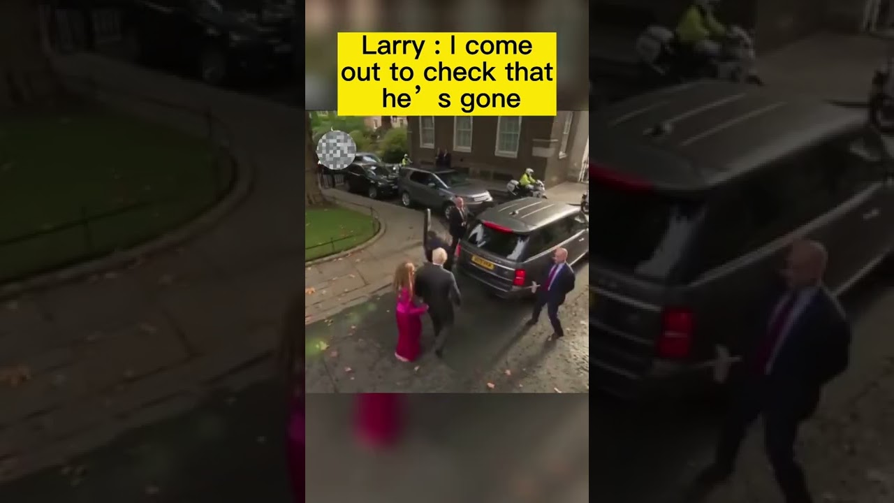 Larry the Cat outlasts another Prime Minister of the UK