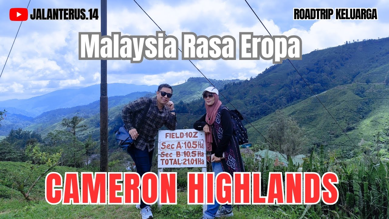 Roadtrip Keluarga ke Malaysia | Sejuknya Cameron Highlands