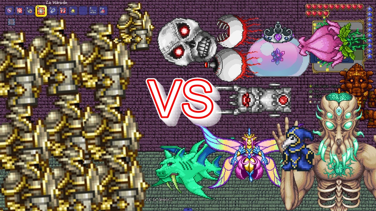 Paladin10 VS Boss
