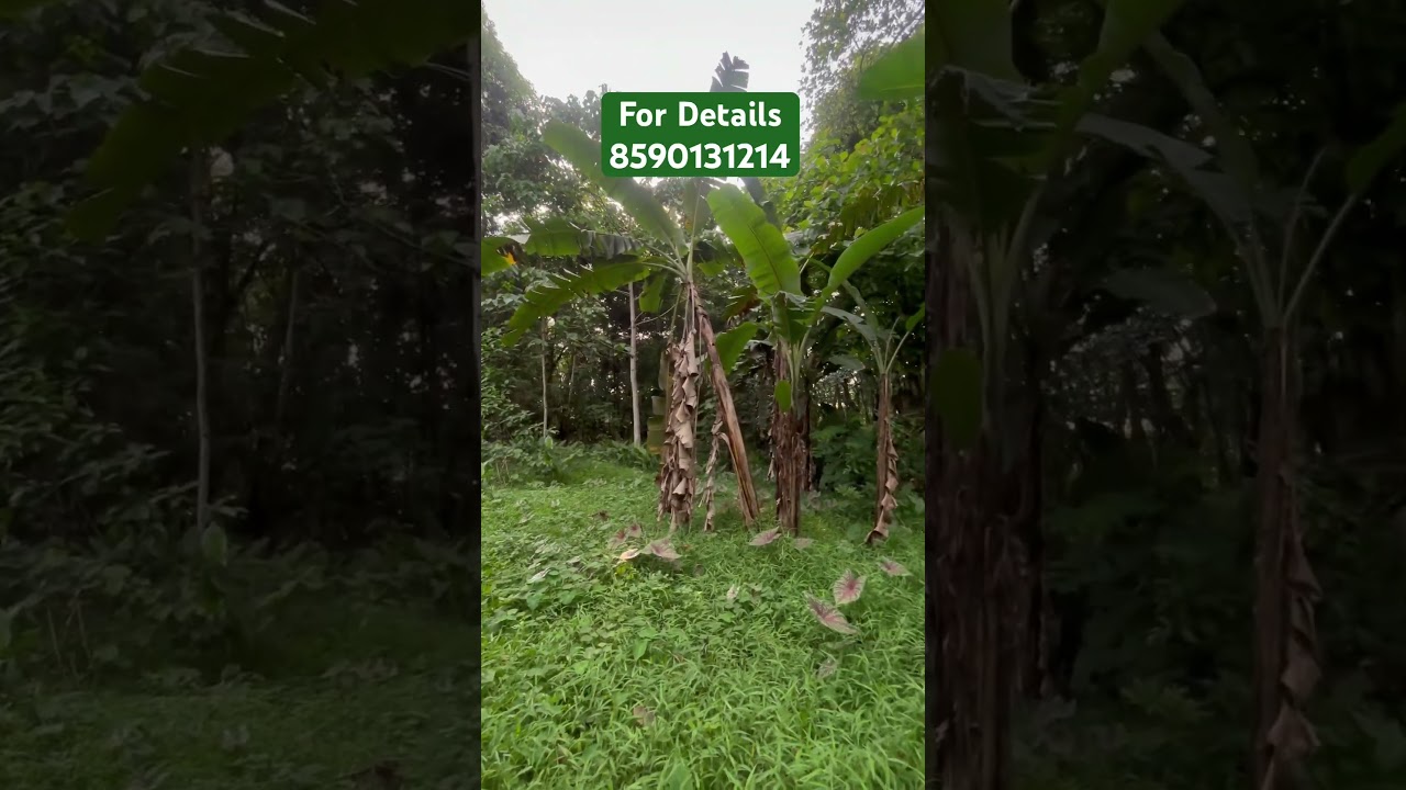 18 Cents House Plot For Sale In Pala Bypass #kerala #property #forsale #plotsale