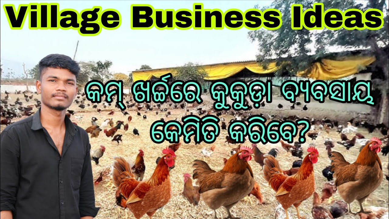 ଦେଶୀ କୁକୁଡ଼ା ଚାଷ / Desi Chicken Farming in Odisha /Village Farming Idea / Village business Odia