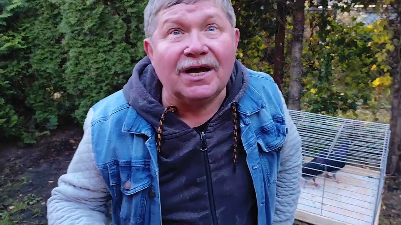 Jesienne loty Tiplera Zagłębiowskiego 👏👏👏 Zapraszam na film 👍👍😎