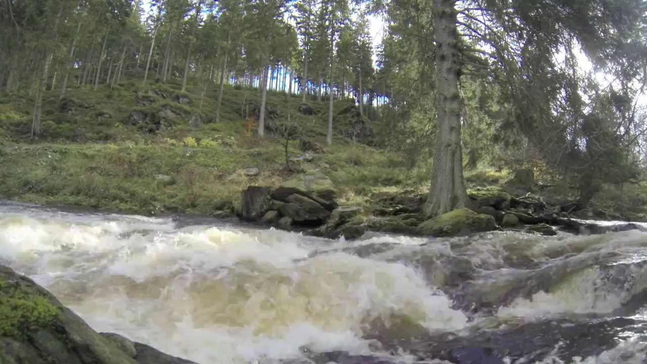 Wildwasser Hohe Rur. Kanusport zwischen Reichenstein und Monschau
