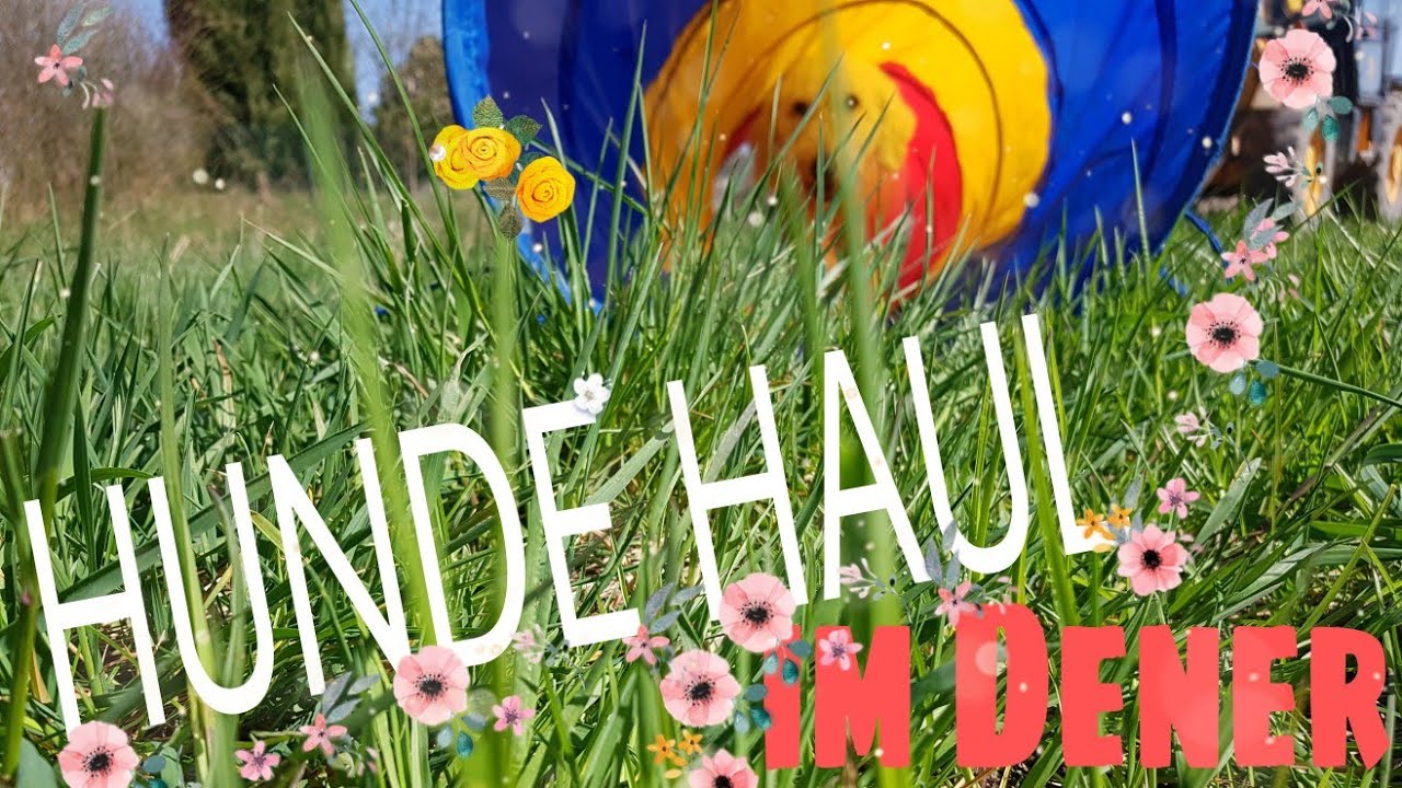 HUNDE HAUL🛒🐶 DENER Liveshopping