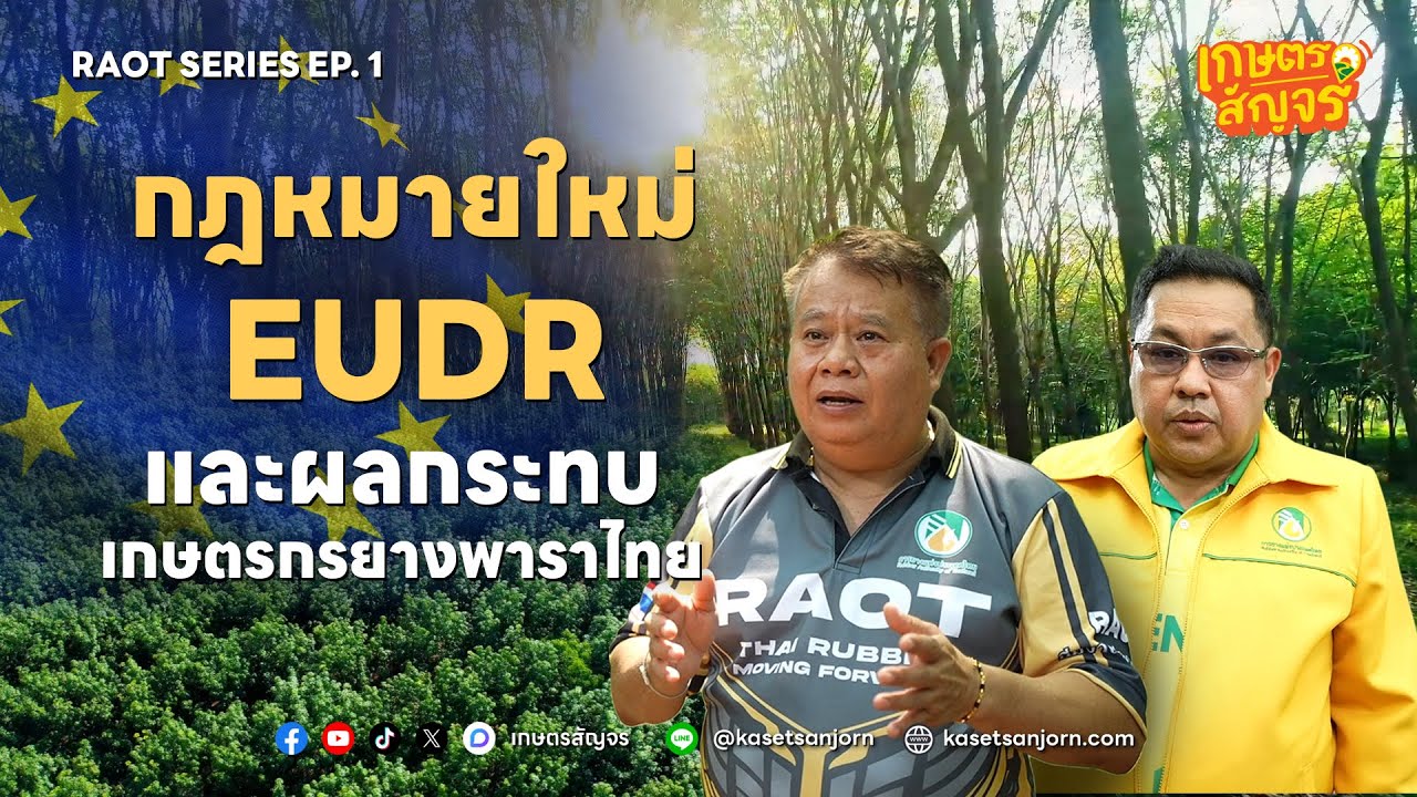 กฎหมายใหม่ EUDR และผลกระทบต่อเกษตรกรยางพาราไทย | กทย.