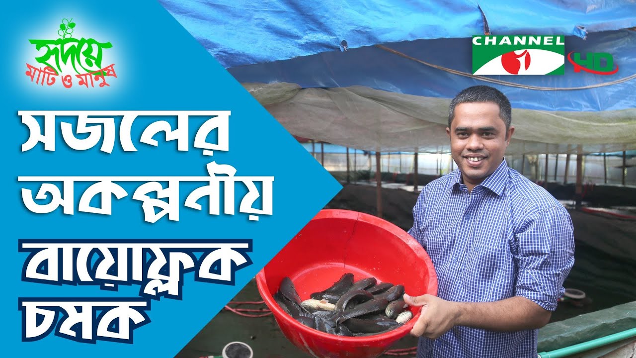 বায়োফ্লক প্রযুক্তিতে অল্পদিনেই মাছ চাষে অসামান্য সাফল্যের নজির | Biofloc | Shykh Seraj | Channel i |