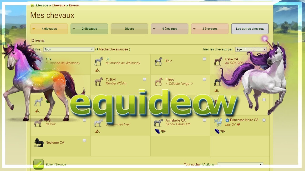 EQUIDEOW : Futures LICORNES et tri de mes chevaux ! #4