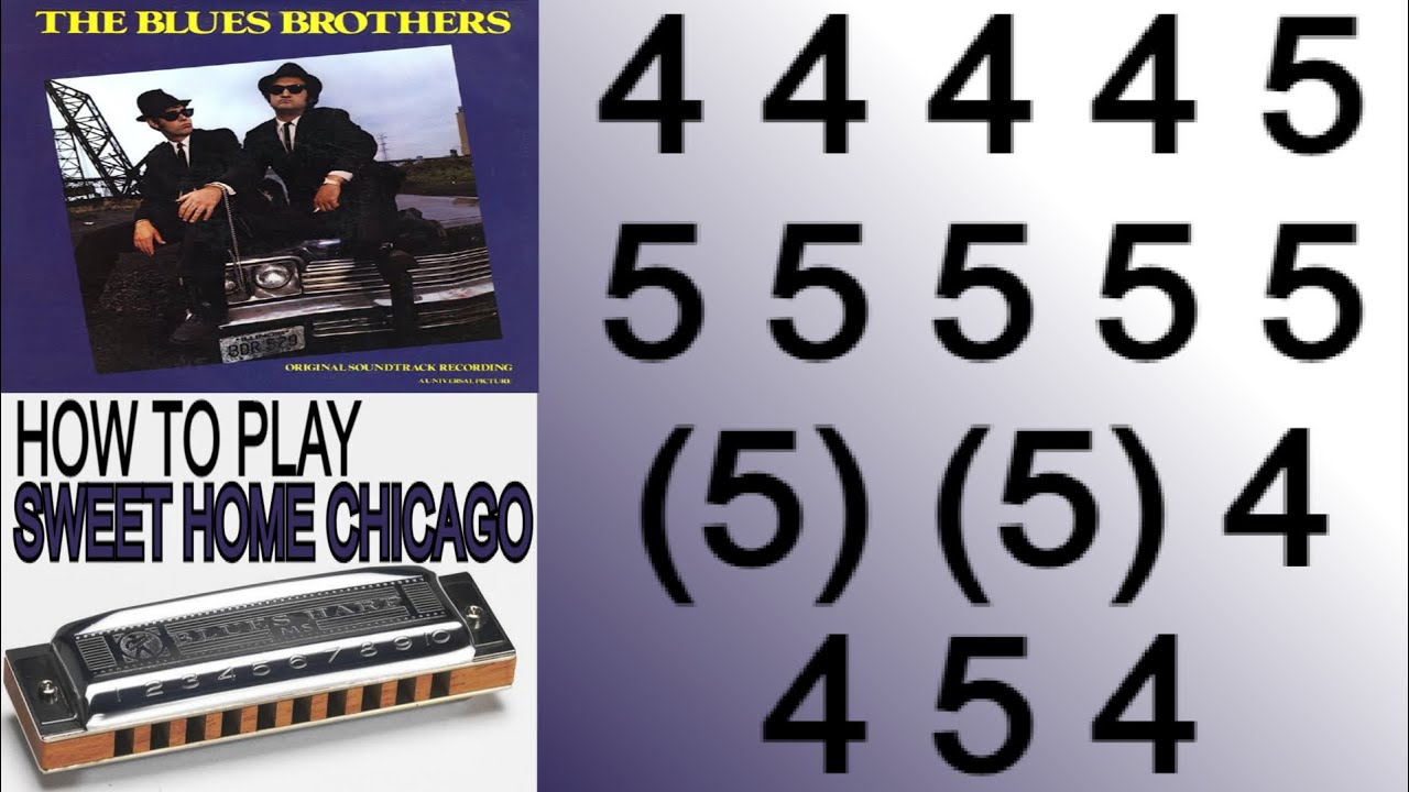THIS IS A GREAT BLUES, SWEET HOME CHICAGO HARMONICA ( C DIATONIC ), ARMÓNICA C, BLUES HARP C, GAITA