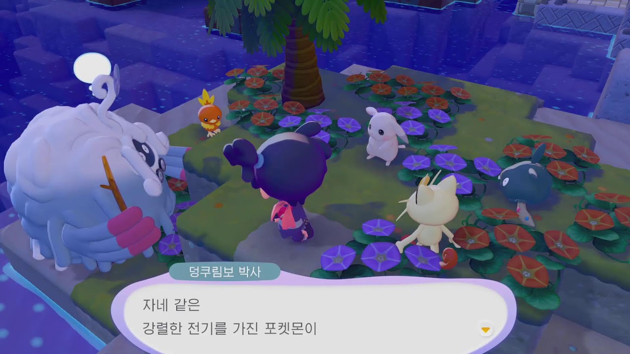 1부 슈마메 - 2부 포코피아