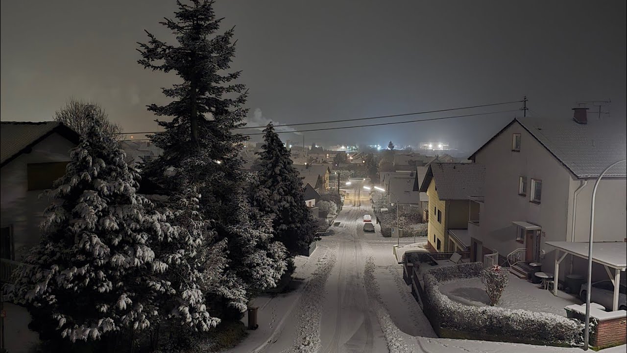 Пришла зима откуда не ждали. Ответы на ваши вопросы. 💐❄️❄️