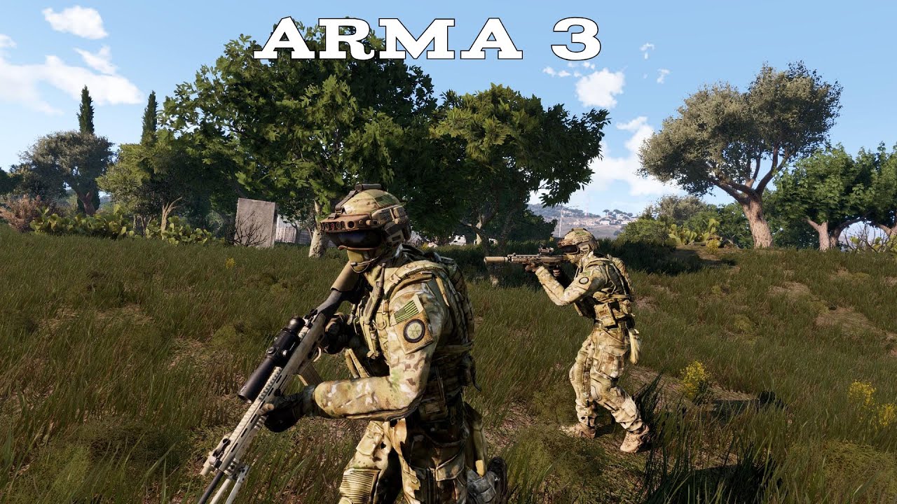 Arma 3 - Server Coop.