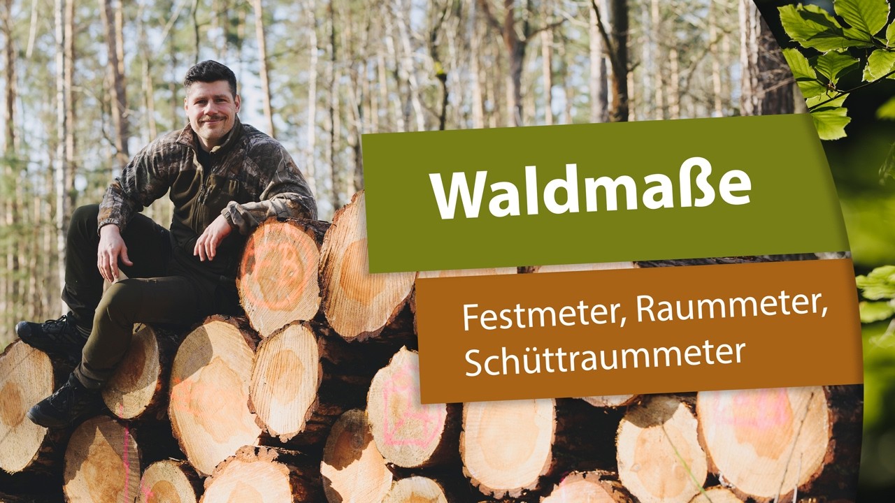Waldmaße: Festmeter, Raummeter, Schüttraummeter ausrechnen & umrechnen #festmeter #raummeter #wald