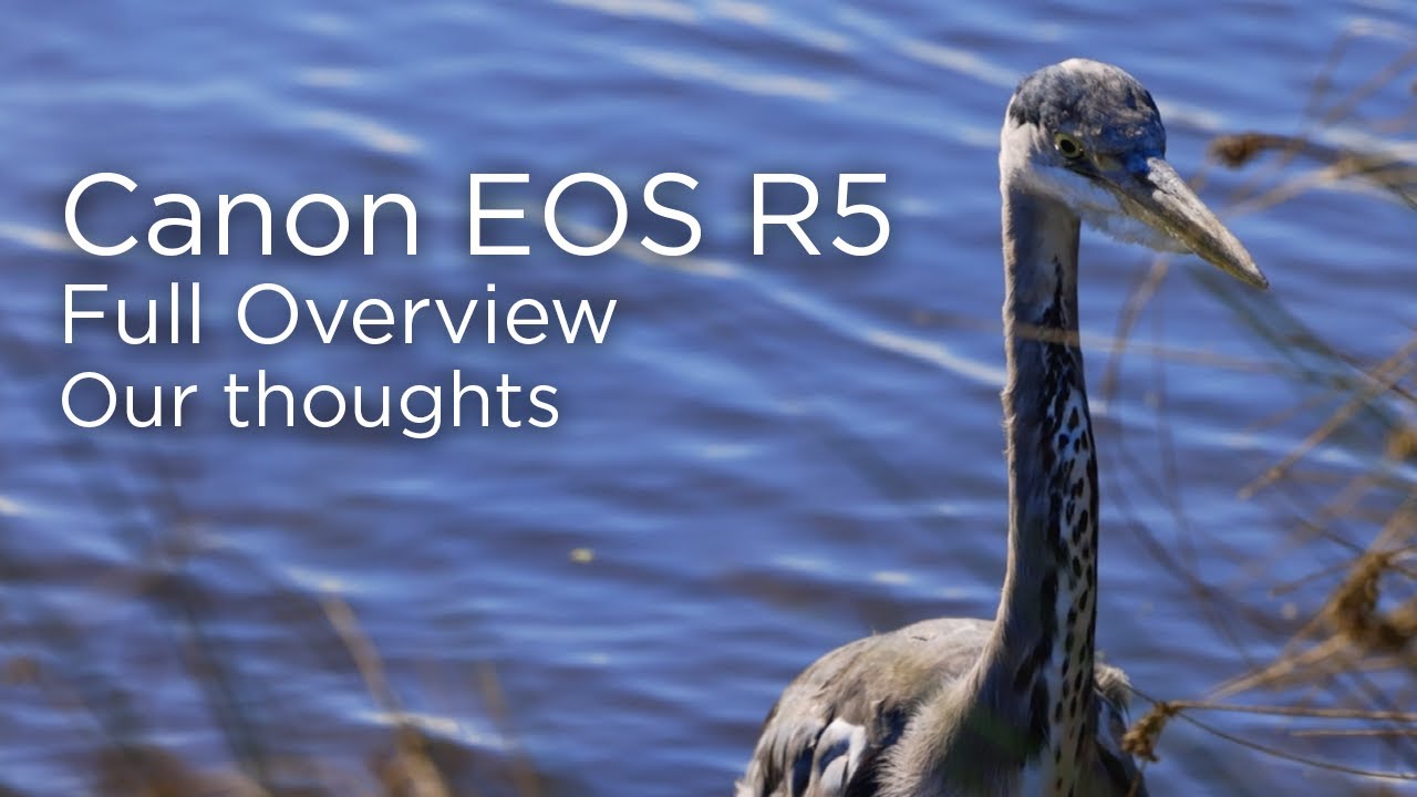 Canon EOS R5 | Обзор | Круглый стол