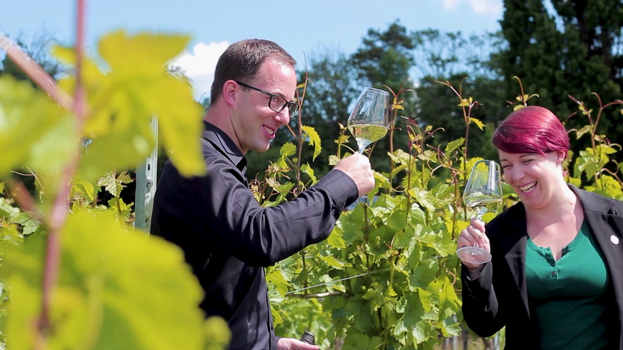 Sommerpaket mit Lisa und Stefan | Weingut Amalienhof