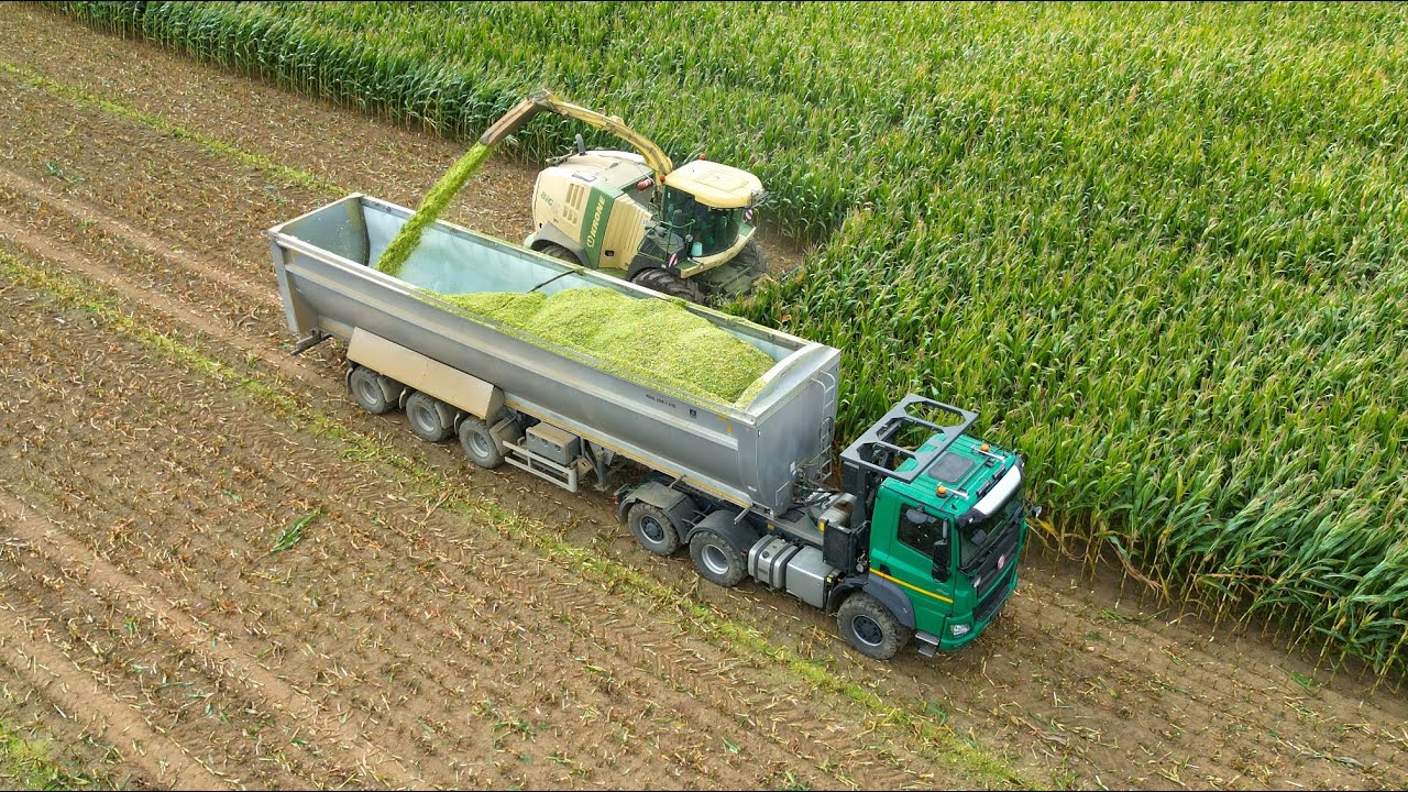 Siláže 2023 • Krone Big X 1100, 3x Tatra Phoenix 6x6 • ADW Lesonice