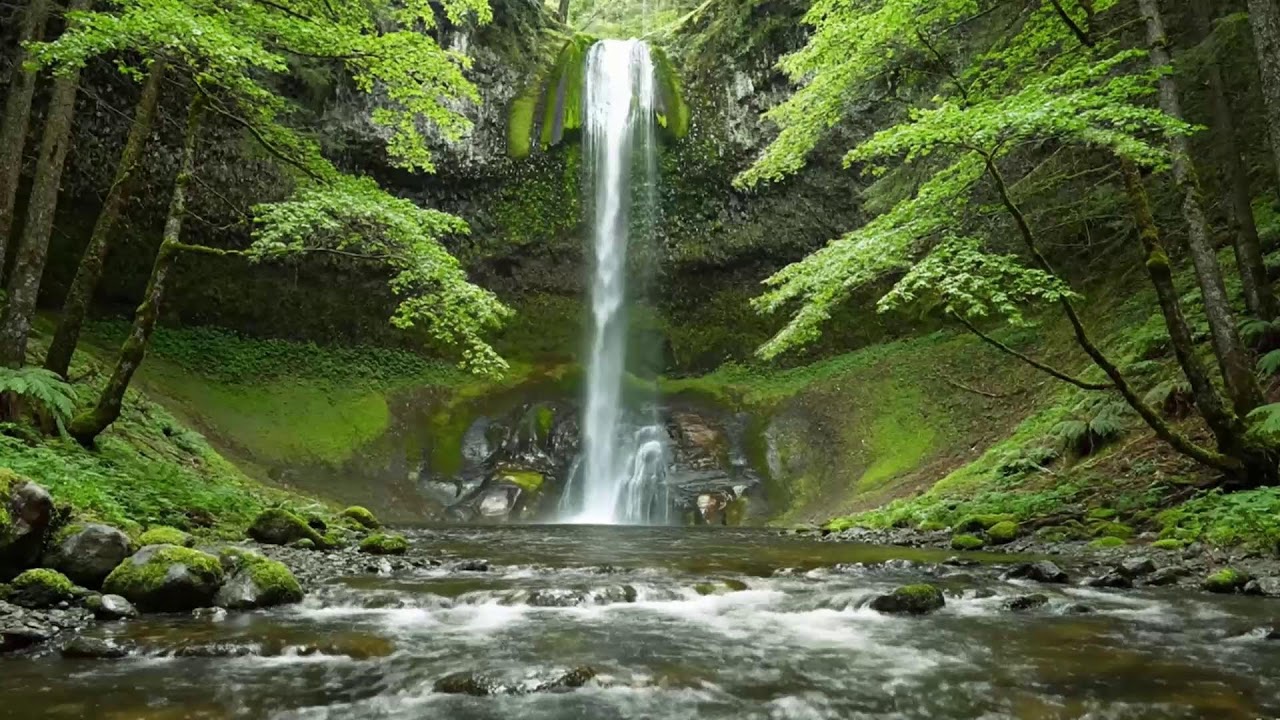 Insomnia Relief | Fast Flowing Mountain River Sounds for Deep Sleep
