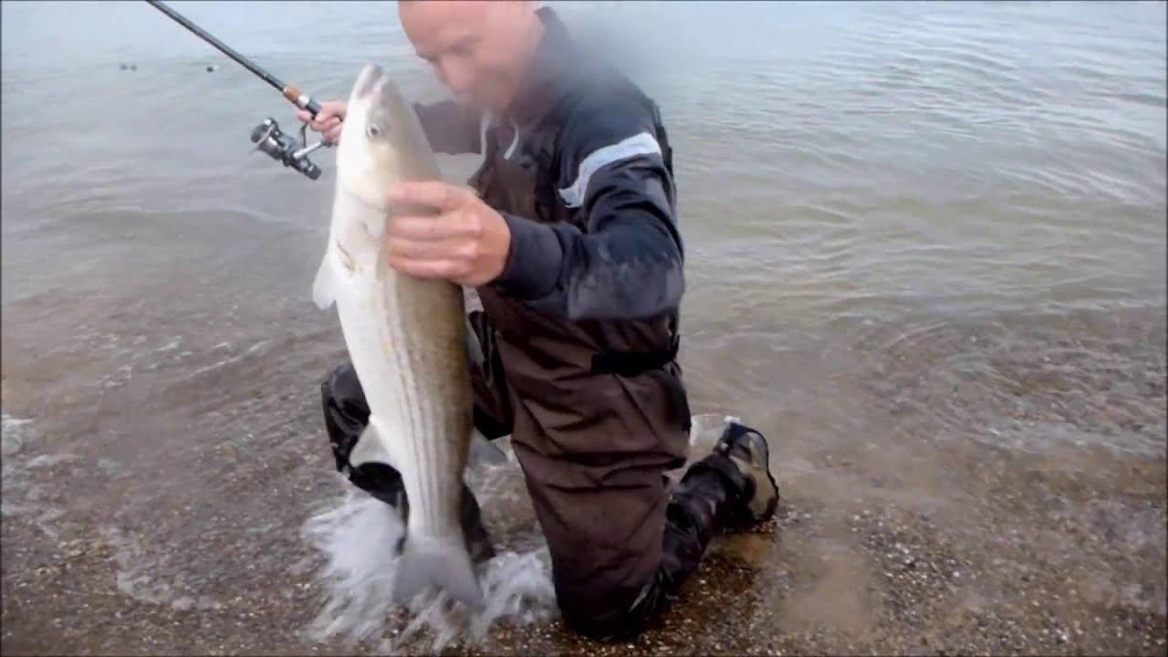 East Coast 6 lbs mullet on the float