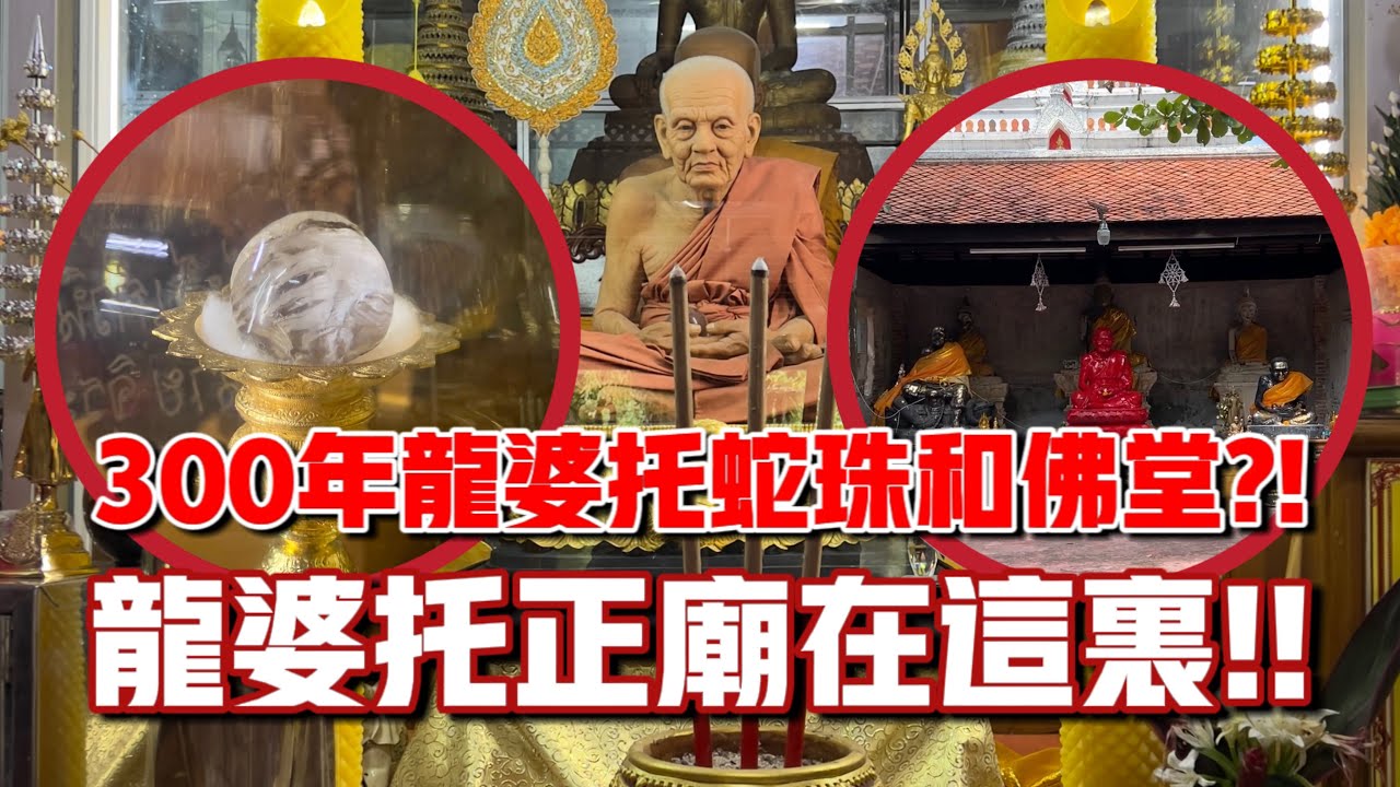 發現300年前龍婆托蛇珠和佛堂！！龍婆托正廟在這裡！！ft. Wat Pha Ko วัดพะโคะ หลวงปู่ทวด｜【龍婆托在泰國】#3