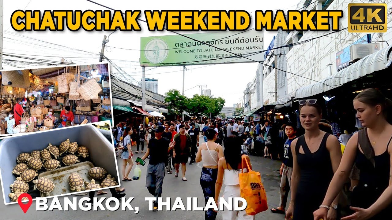 Exploring Chatuchak Weekend Market: Your Ultimate Guide to Pet Paradise - 4k 🇹🇭 - Nomadic Walk Tours