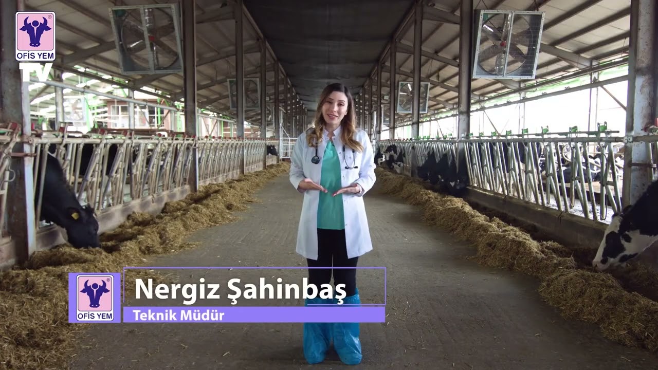 Listeriosis hakkında önemli bilgiler.