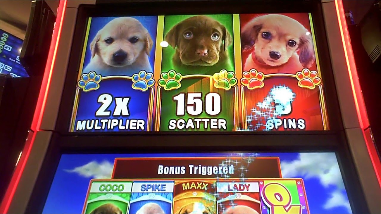 OMG Puppies Slot Machine BIG WIN Bonus(2)