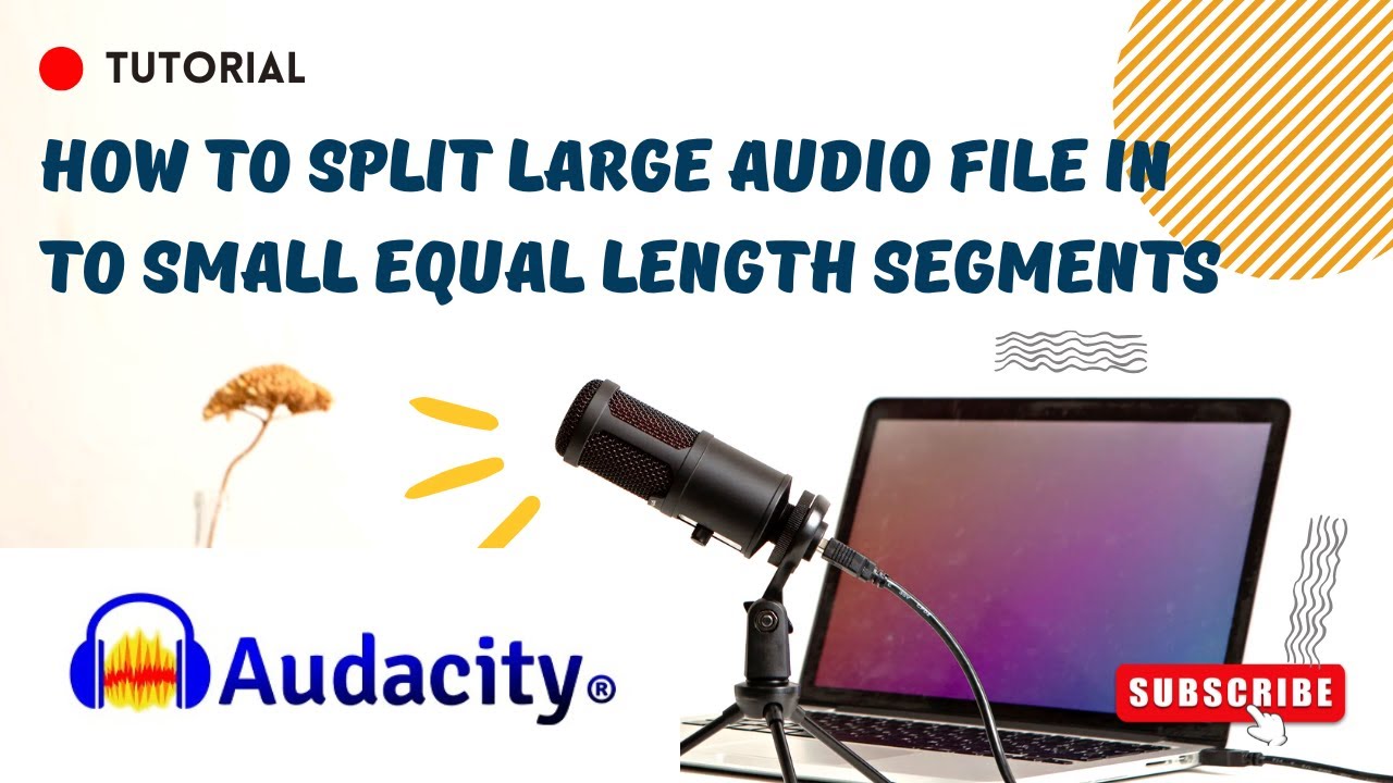 How to Split Large Audio Files into Equal Segments in Audacity | Easy Tutorial