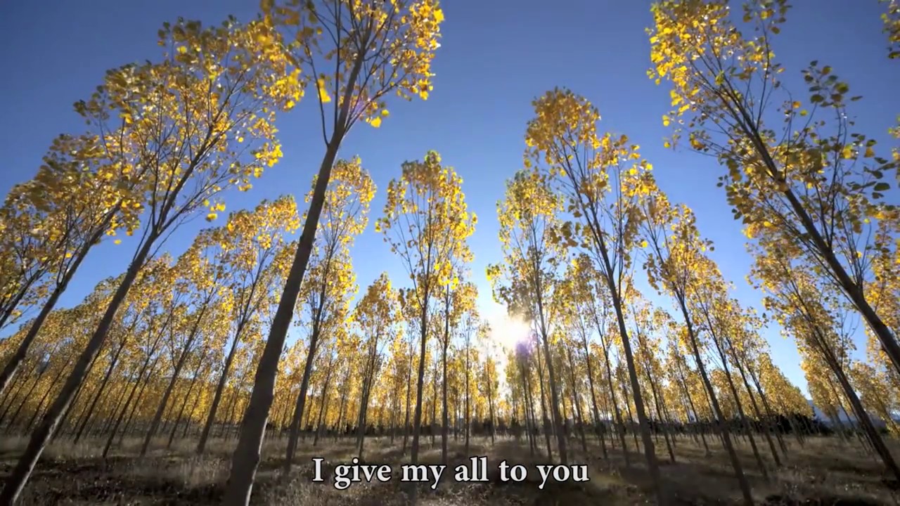 Hallelujah | Urdu/Hindi Gospel Song | By David Rothfuss