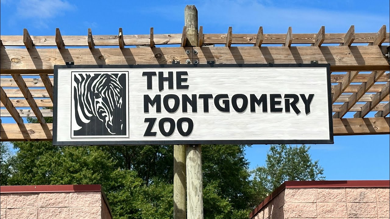 Montgomery Zoo September 2023