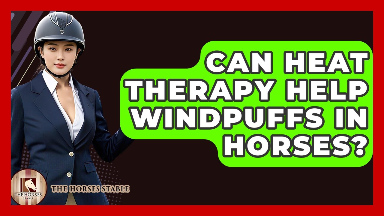 Can Heat Therapy Help Windpuffs In Horses? - The Horses Stable